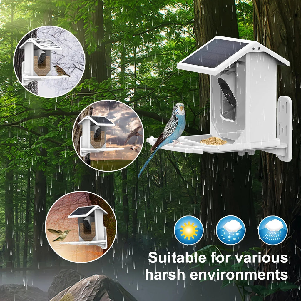 Solar Aibecy for Birds and Vision Low 1080P Camera Wildlife Bird Waterproof IP66 Night Camera
